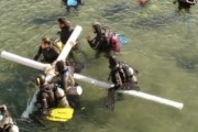 Подводное шествие устраивают в городе Пуэрто-Мадрин. // patagonia.com.ar