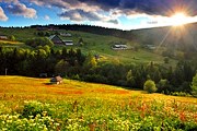 В парке появятся новые трассы, оборудованные для инвалидов. // ttstudio.sk