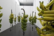 Одна из работ выставки Cantos Cuentos Colombianos. // daros-latinamerica.net