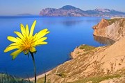 Путеводитель поможет составить собственный маршрут по Крыму. // putevki.zp.ua