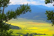 Природа Адыгеи привлекает туристов. // business-kuban.ru