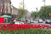 "Карта гостя" позволит сэкономить на отелях и экскурсиях. // Travel.ru