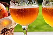Во время экскурсий туристы узнают об истории и производстве напитка. // calvados-tourisme.com