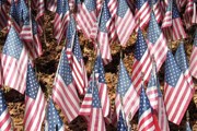 Запись на визу в США - на середину июня. // flag.ru