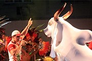 Главными действующими персонажами являются два быка. // parintins.com