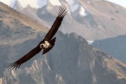 Туристы увидят уникальные памятники природы. // inpath.ru