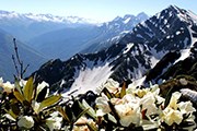 Летом курорт предлагает полюбоваться горными пейзажами. // rosaski.com