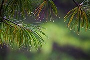 Байкальский заповедник развивает экотуризм. // baikal-zapovednik.ru