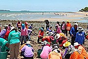 Очистка одного из пляжей Паттайи // thailand-news.ru