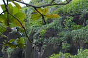 Природа привлекает туристов. // realadventures.com