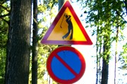 В Финляндии - более сотни гольф-полей. // Travel.ru