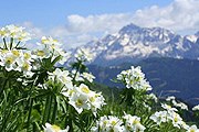 Культурно-этнографический центр строят в Красной Поляне. // skisafari.ru