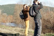 Наблюдение за птицами привлекает туристов. // Travel.ru