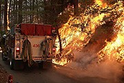 Огонь отрезал одну из дорог в заповедник. // wcnc.com