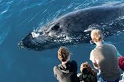 Нелегальные экскурсии строго запрещены. // photos-stories.com