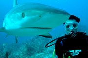 Аттракцион пользуется спросом. // aquaviews.net