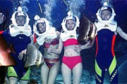 Прогулки Sea Trek набирают популярность. // sea-trek.com