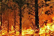 В Австралии - самые сильные за последние 40 лет пожары. // radioaustralia.net.au