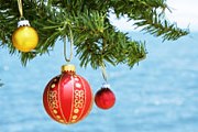 Доминикана предложит жаркий Новый год. // iStockphoto