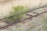 Поезд Париж - Рим вновь отменяется. // Travel.ru