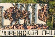 Самая высокая елка растет в "Беловежской пуще". // stranamam.ru