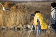 Туристы смогут понаблюдать за птицами. // iStockphoto