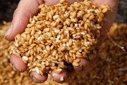 Испания ждет ценителей блюд из риса. // arroceando.com
