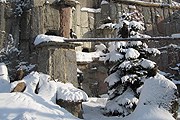Московский зоопарк зимой // moscowzoo.ru