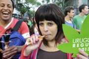Марихуана будет доступна только местным жителям. // AP Photo / Matilde Campodonico