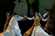 Зрители увидят настоящий спектакль с участием лошадей. // Avignon Tourisme