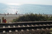 Электрички будут ходить чаще. // Travel.ru