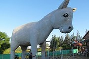 Из кафе будет доноситься ослиный рев. // buenolatina.ru