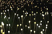 "Поле света" станет достопримечательностью Эдинбурга. // brucemunro.co.uk
