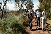 Килиманджаро можно покорить и небольшой группой. // qadventures.com
