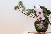 Искусство икебаны может быть азартным. // tokyoweekender.com