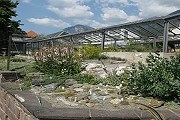 Альпийская зона - крупнейшая в ботаническом саду. // tripadvisor.com