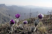 Туристический потенциал Крыма огромен. // crimeahike.com