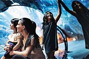 В ОАЭ пройдет кампания "Лето - это Дубай". // summerisdubai.com