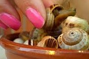К блюдам из улиток предложат местные вина. // sobrecadiz.com