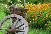 Туристам нравится отдых в сельских усадьбах. // tourismtoyou.ru
