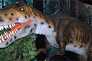 Динозавры двигаются и рычат. // showdino.ru