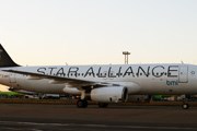 Самолет Star Alliance // Travel.ru