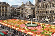 Цветочный ковер просуществует всего два дня. // VisitFlanders