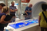 Кости короля воссозданы при помощи спецэффектов. // BBC