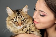 В кафе можно пообщаться с кошками. // Africa Studio, Shutterstock.com