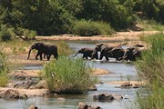 Парк Крюгер в ЮАР // krugerpark.co.za