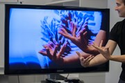 Туристов ждут интересные культурные мероприятия. // langenacht.orf.at