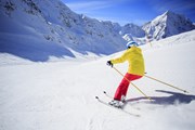 Туристов ждет комфортное катание. // gorillaimages, Shutterstock.com