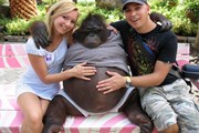 Одна из фотографий, участвующих в конкурсе // Travel.ru
