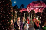 Зимняя сказка в садах Кью // kew.org